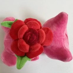 Bisasam Bulbasaur Plüsch Pokemon Special Edition 39 Bisasam Bulbasaur Plüsch Pokemon Special Edition -Pokémon Spielzeug Geschäft product image 2007315780